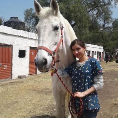 Caballo