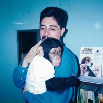 Chimpance
