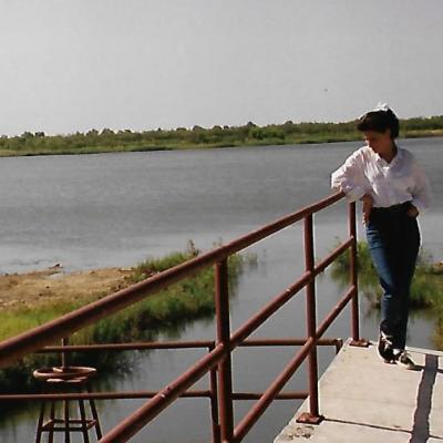 Gestion Ambiental